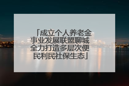 成立个人养老金事业发展联盟聊城全力打造多层次便民利民社保生态